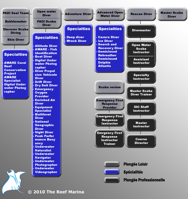 Les formations PADI avec REEF MARINA