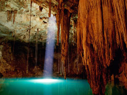 Cenotes à Playa del Carmen