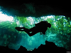 Cenotes à Playa del Carmen