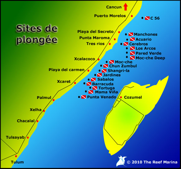 Introducir 92+ imagen mapa cancun playa del carmen cozumel - Abzlocal.mx